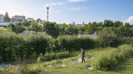 Plantes au Restaurant Hervé Busset, Cuisine Gastronomique en Occitanie