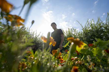 Plantes au Restaurant Hervé Busset, Cuisine Gastronomique en Occitanie