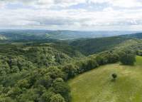 Montage d'un plat au restaurant Hervé Busset, Cuisine Gastronomique en Occitanie
